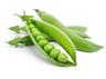 Pea