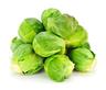 Brussels Sprout