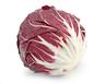 Radicchio