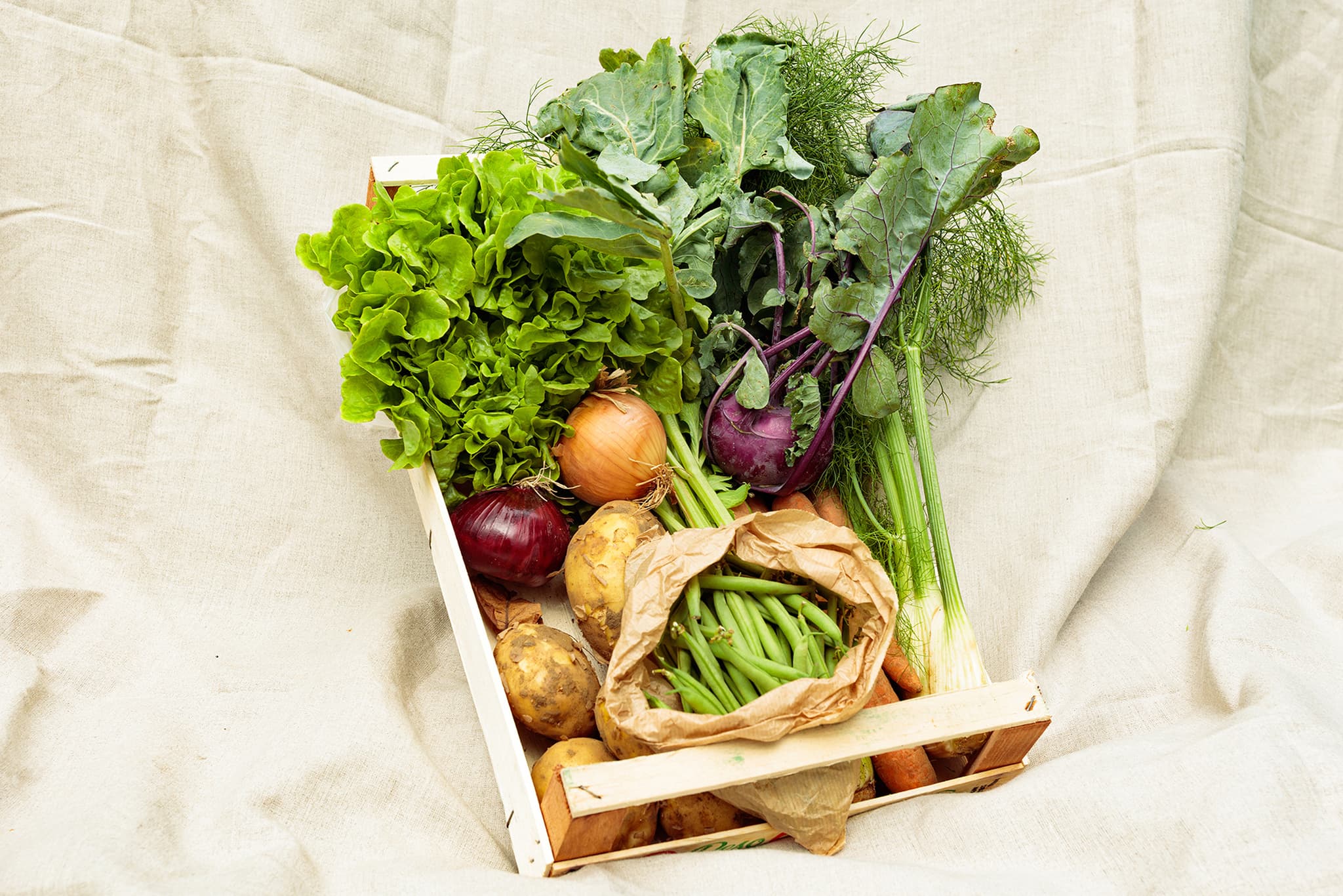 Roots no Fruits Box
